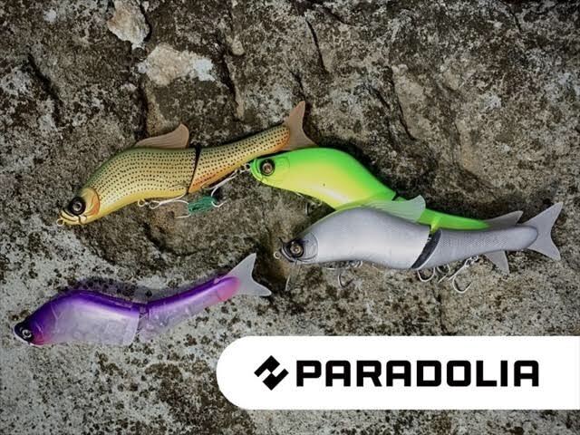 ルアーブランド「PARADOLIA」スタート！ - Humpback Design